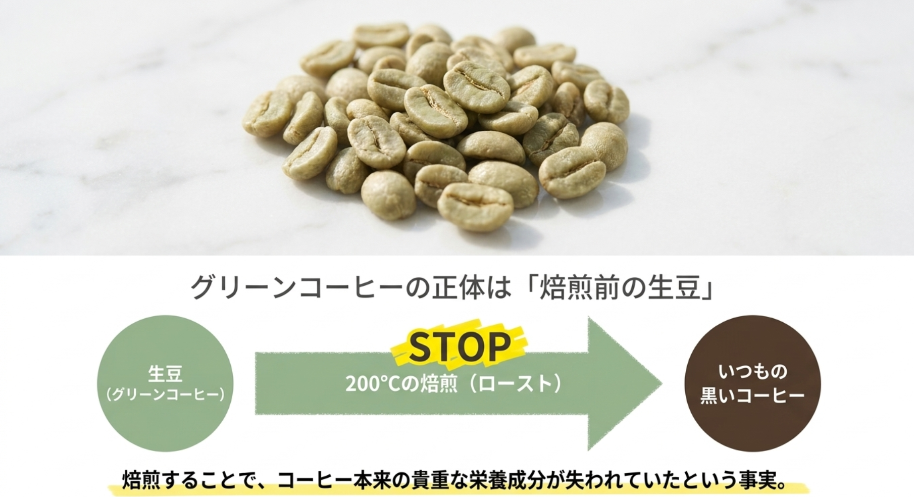 エイジングケアの新常識！グリーンコーヒーとは何か