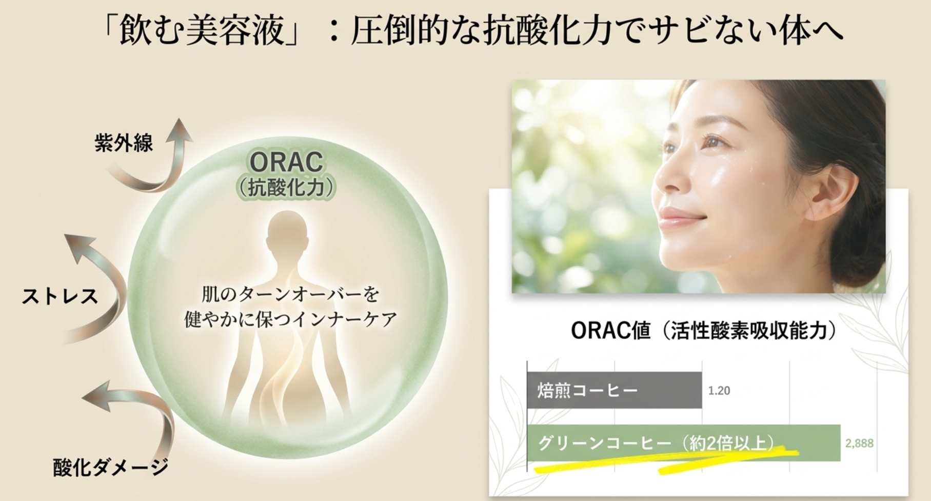 抗酸化作用で若々しさを保つ美容へのメリット