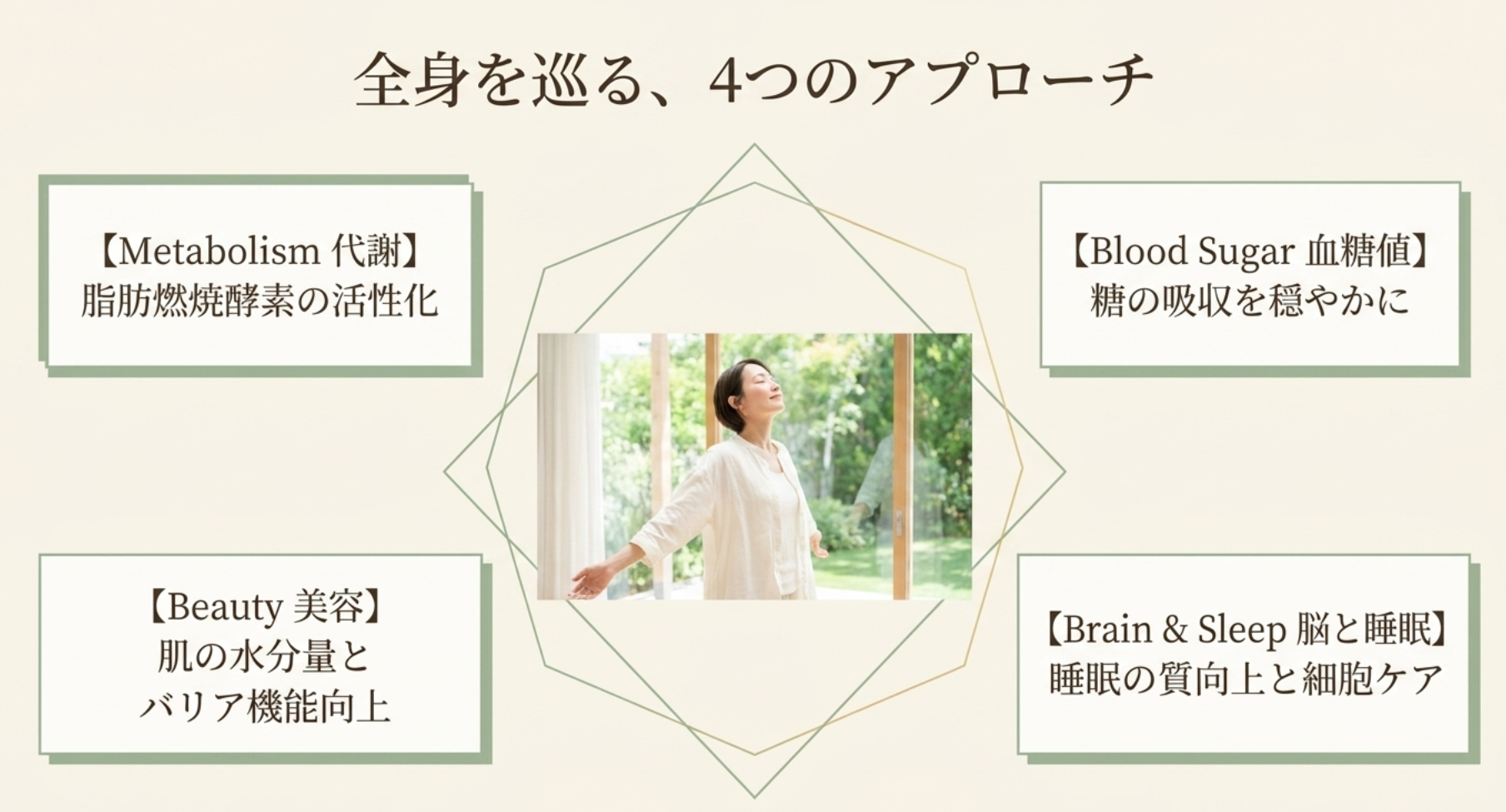 糖の吸収を穏やかにし血糖値を安定させる働き