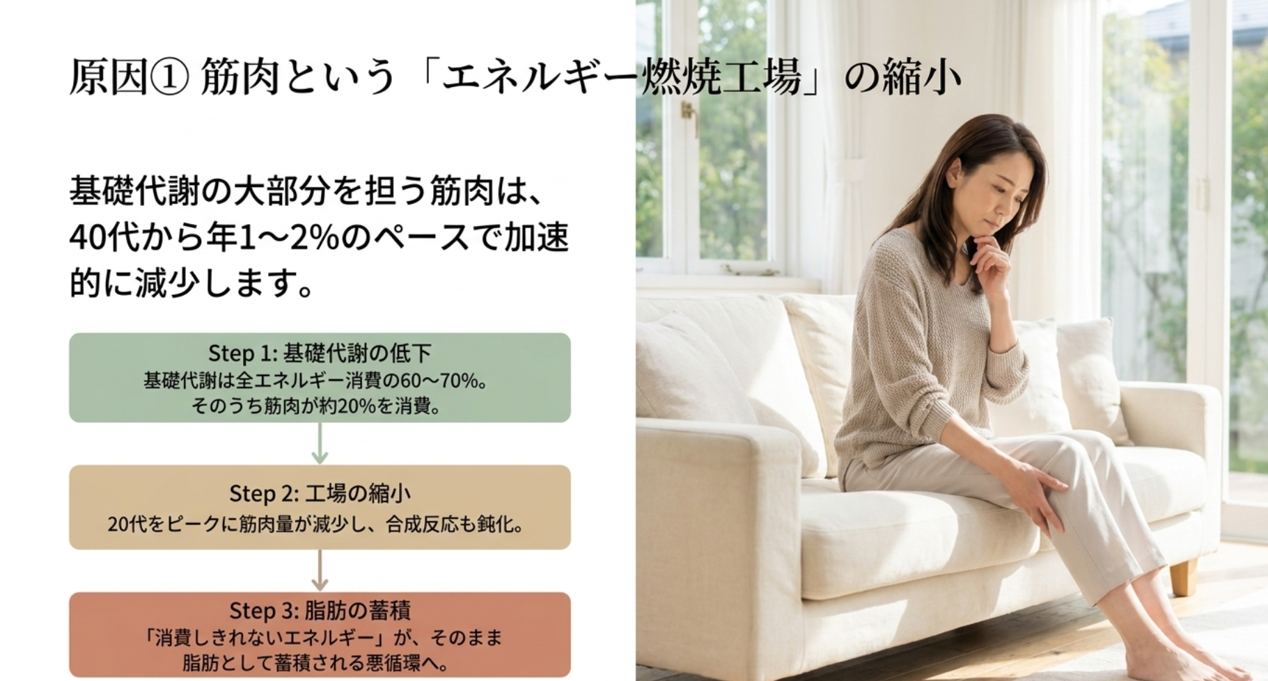 加齢に伴う筋肉量の減少と基礎代謝低下のメカニズム
