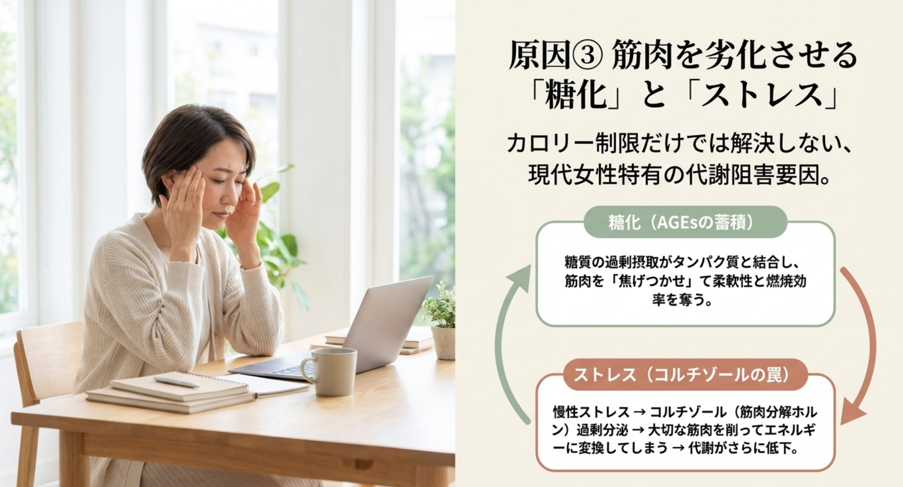 糖化ストレスによる筋肉の劣化と太りやすい体質