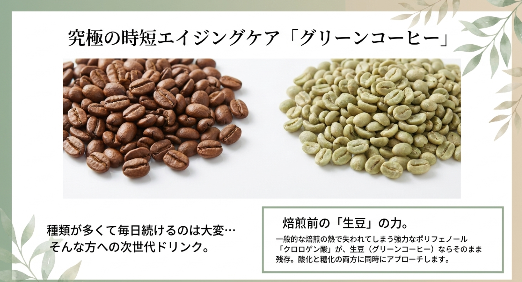 クロロゲン酸が豊富なグリーンコーヒーで若々しさを保つ