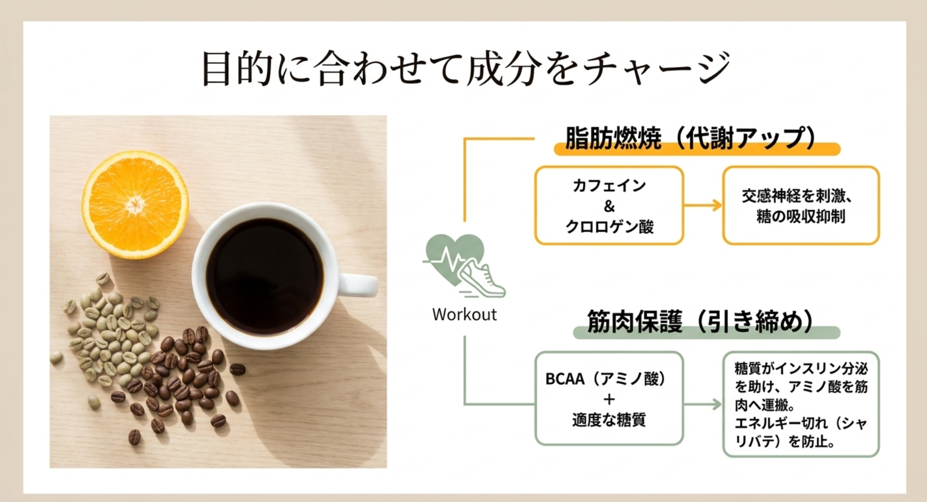 筋トレの効率を高めるアミノ酸と糖質の相乗効果