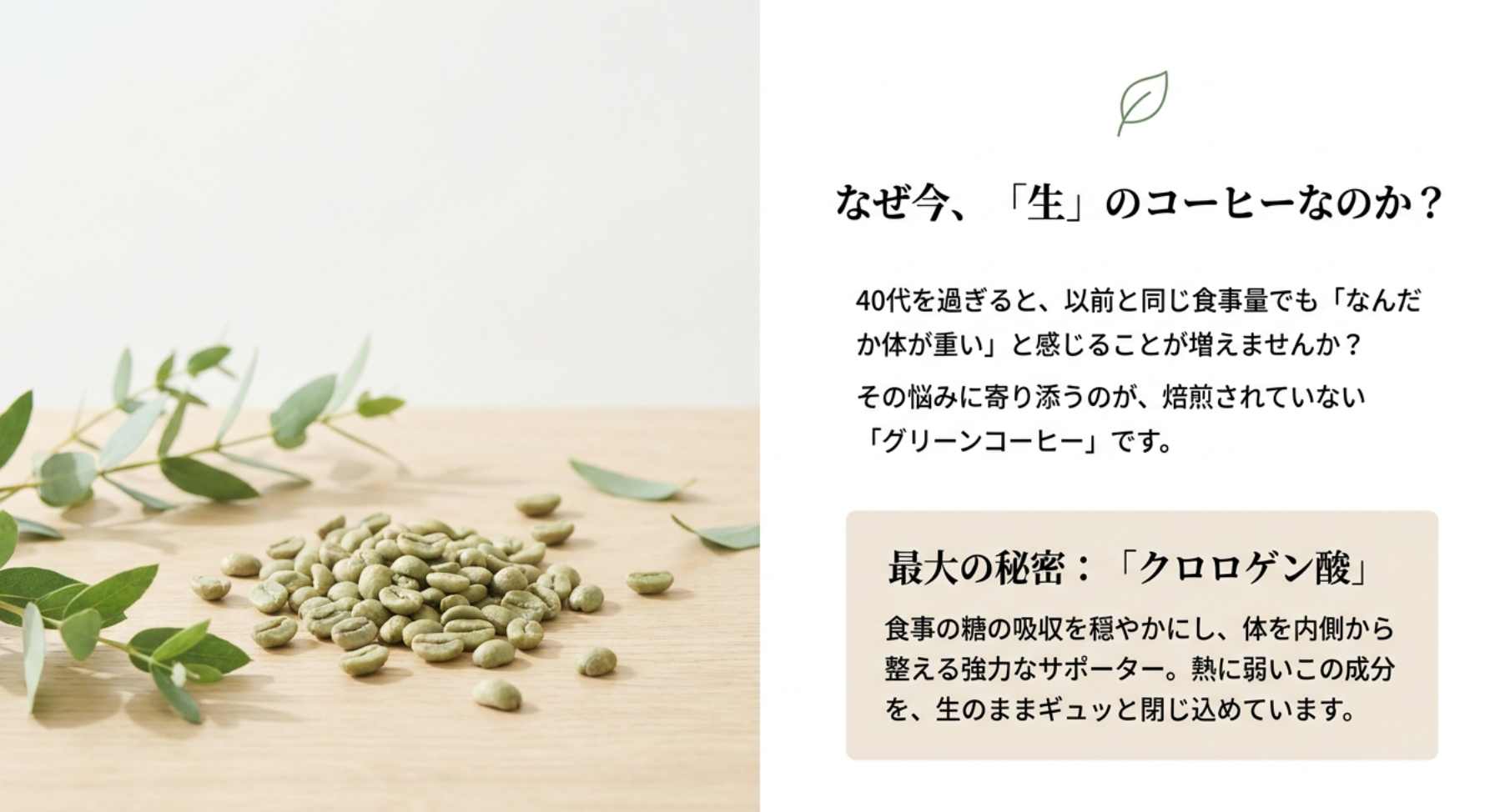 健康をサポートするグリーンコーヒーの飲み方