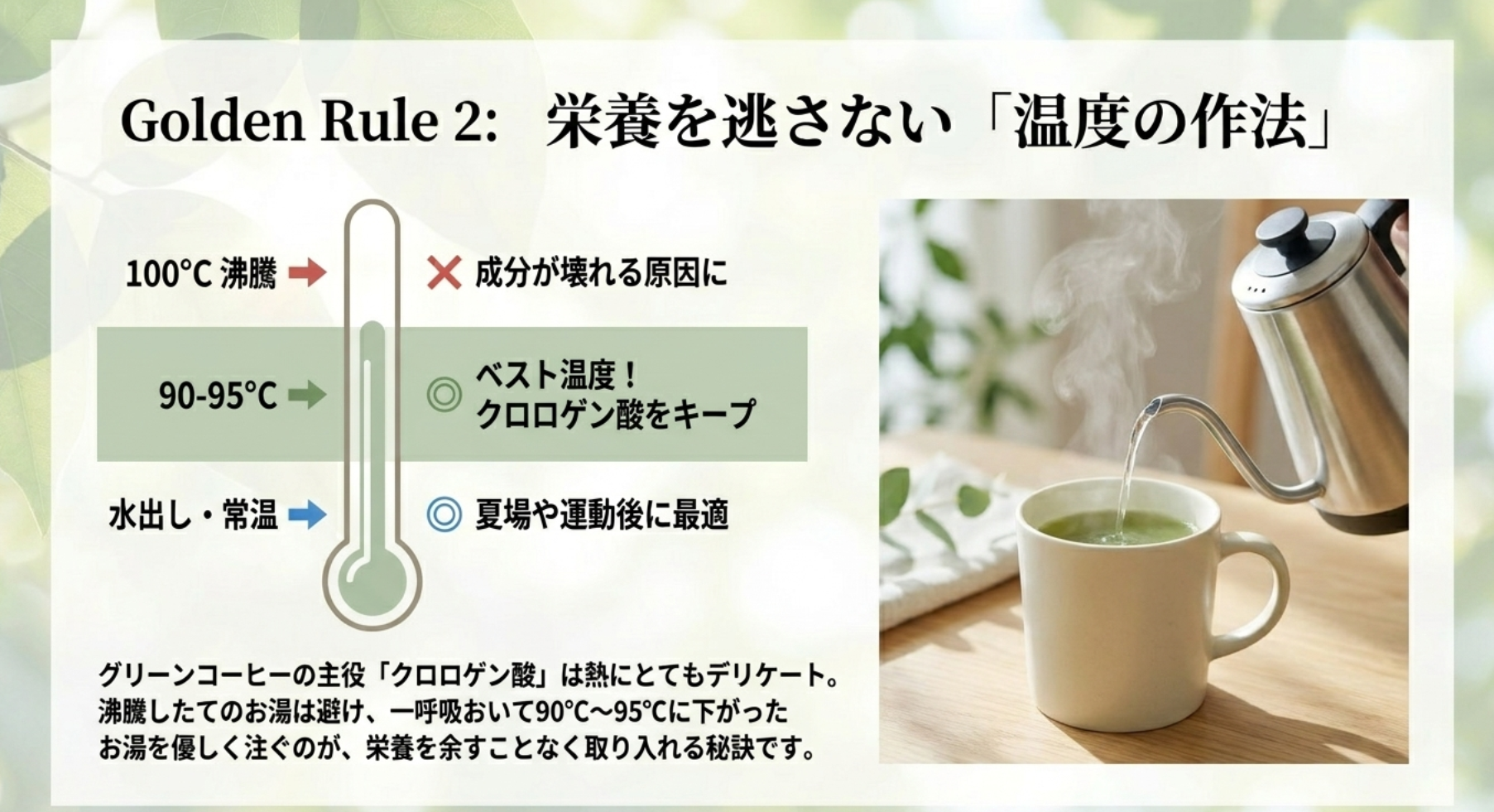 クロロゲン酸の栄養を逃さない温度と作り方