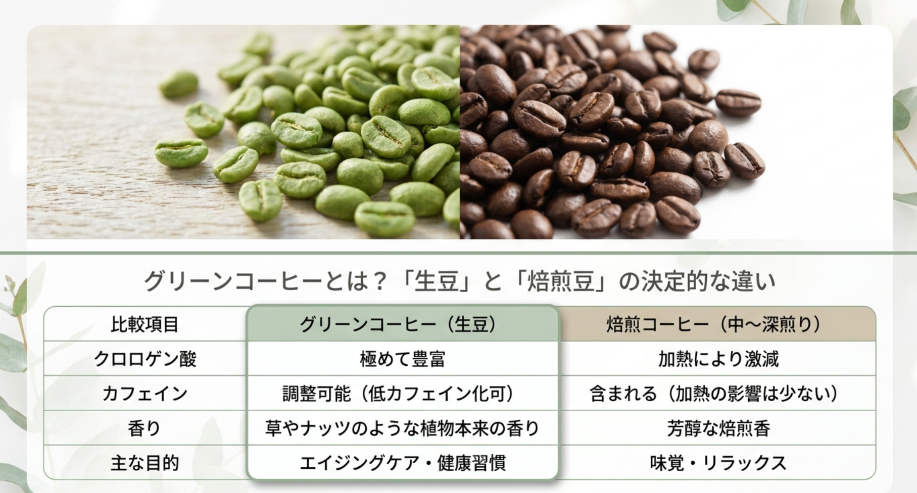 グリーンコーヒーの選び方で知っておきたい品質の基準