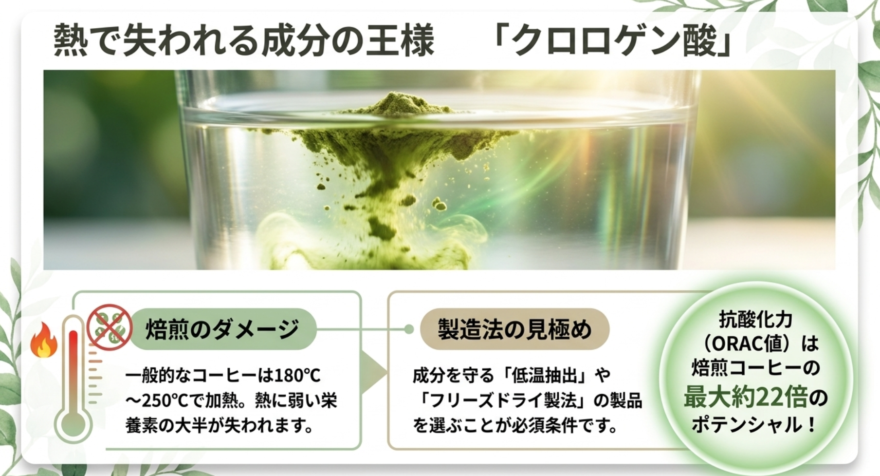 グリーンコーヒーとは?焙煎豆との成分の違いを解説